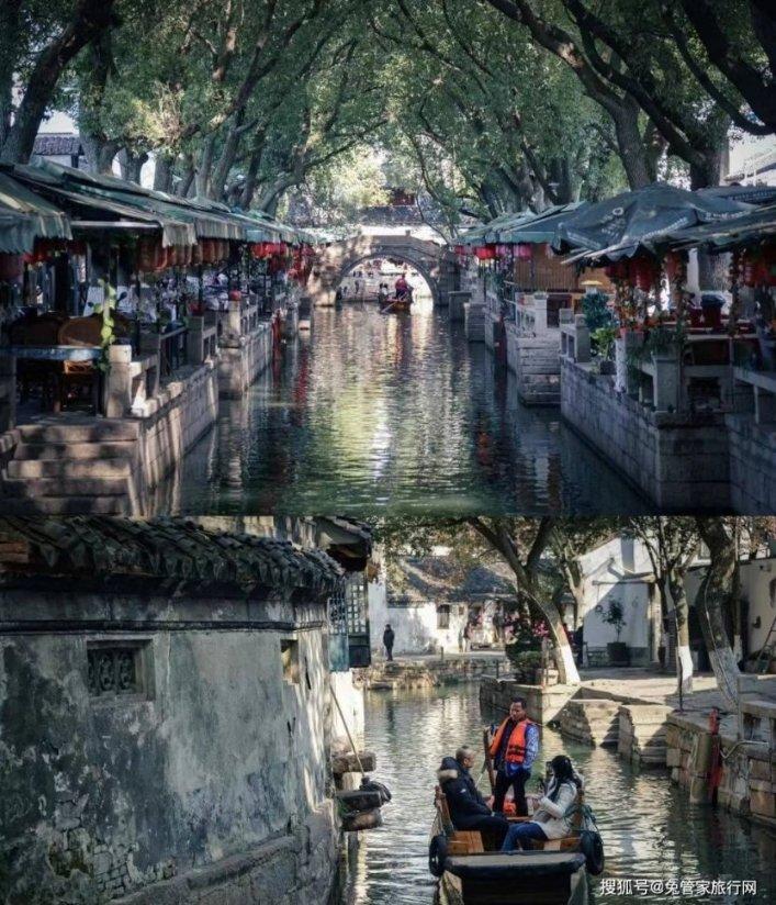 拯救穆尔小马